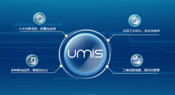 上?；ヂ?lián)網(wǎng)軟件集團(tuán) 高端協(xié)同管理軟件產(chǎn)品和咨詢服務(wù)提供商